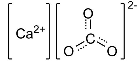 Formado Principalmente Por Carbonato De Cálcio - cual es la formacion del carbonato de calcio - Brainly.lat