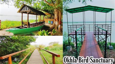 Okhla Bird Sanctuary Okhla Bird Sanctuary Noida Okhla Bird Sanctuary