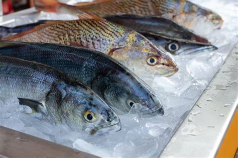 Les Meilleurs Poissons Blancs Chair Ferme Pour Une Cuisine