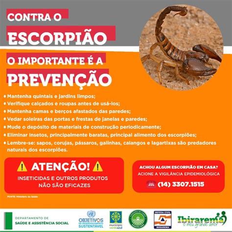 Prefeitura de Ibirarema SP PREVENÇÃO DE ESCORPIÕES