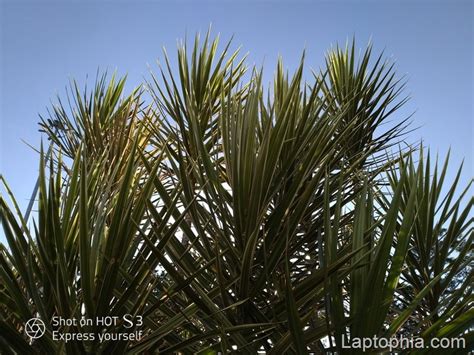 Review Infinix Hot S X Smartphone Selfie Killer Dengan Os Android Oreo Laptophia