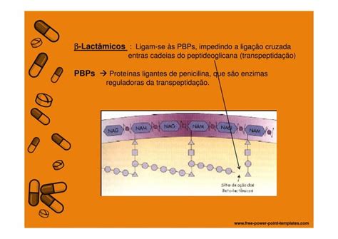 Mecanismo De A O Dos Antimicrobianos Ppt