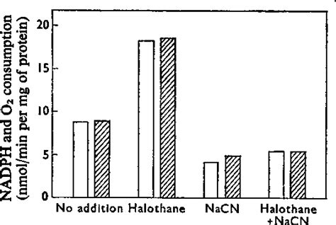 Figure From The Effects Of Halothane On Hepatic Microsomal Electron