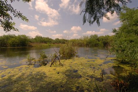 Estero Llano Grande State Park Nature — Texas Parks & Wildlife Department