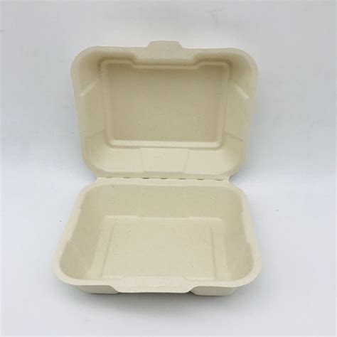 Biodegradable Compostable Sugarcane Bagasse Food Containers Box China