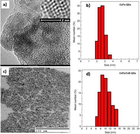 TEM Images And The Size Distribution Of A CdTe QDs And B CdTe CdS