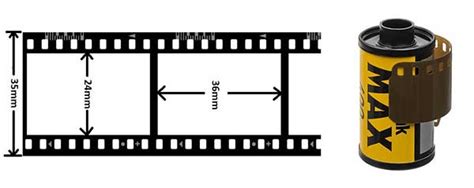 All Photographic Film Formats Explained Dusty Grain