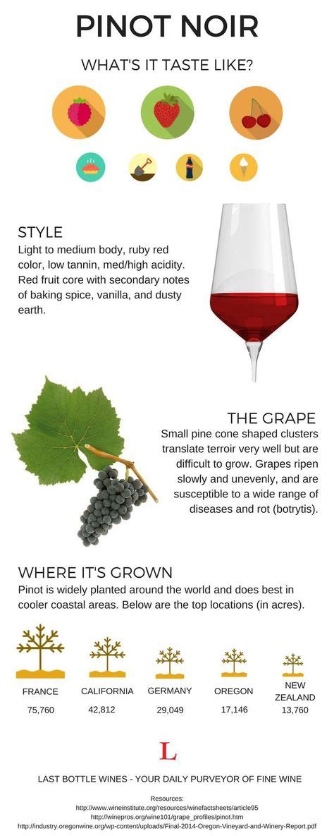 All About Pinot Noir Pinot Noir Wine Facts Wine Preserver