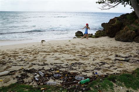 Locmariquer Et Si Vous Faisiez Un Cadeau Aux Plages Du Morbihan Ce