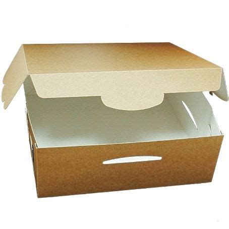 CAJAS CARTON CUADRADA AUTOMONTABLE BIO 220X220X100mm ESPECIAL PARA