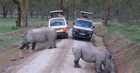 Von Nairobi Aus Ganztagestour Zum Lake Nakuru National Park GetYourGuide