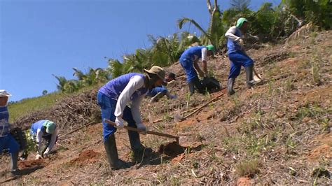 brazil rainforest 3 | CGTN America