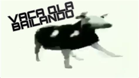 Vaca Bailando Con Música Polaca Por 1759 Segundos Youtube