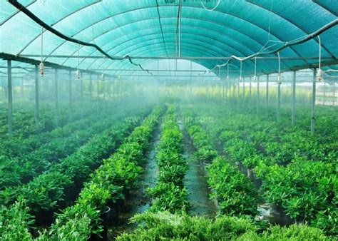 No Agro Shade Net Manufacturers Supplier In Uae Ykm