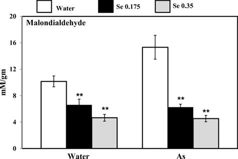 Oxidative Stress Marker In Mice Hippocampus In Dw As And Se 0 175 Download Scientific