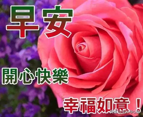 星期四早上好動畫問候表情圖片，新版早安問候祝福語動態圖片 每日頭條