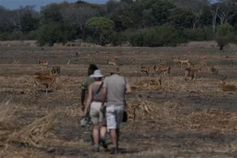 Day Classic Zambia Adventure From Lower Zambezi Np To Kafue