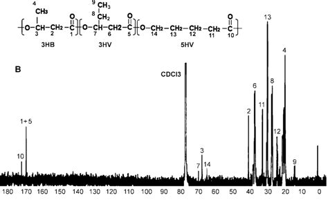 1 H Nmr A And 13 C Nmr B Spectra Analysis Of The Polymer Produced Download Scientific