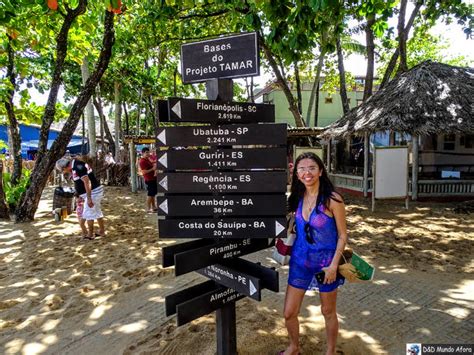 Projeto Tamar Praia Do Forte Como Visitar D D Mundo Afora