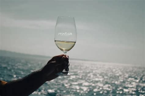 Vive La Cultura Del Vino En La D O R As Baixas