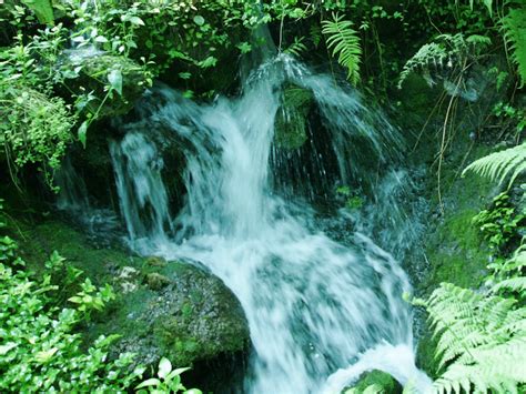 Водопади и водни каскади - снимки от Флорида - тапети за десктоп