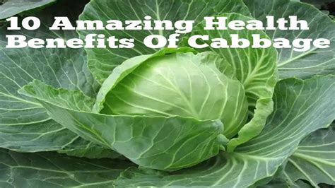 Cabbage Benefits Amazing Health Benefits Of Cabbage Youtube