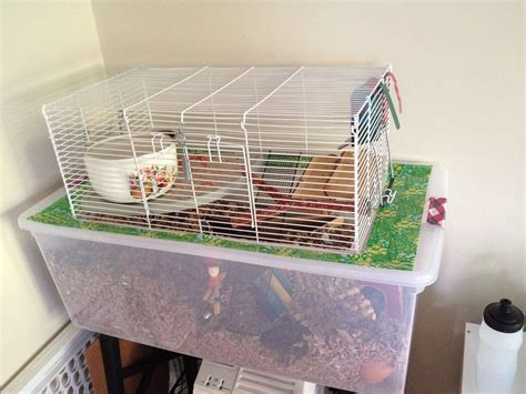 Diy hamster cage bin cage – Artofit