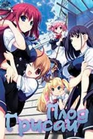 Сериал Плод Грисайи (2014) - Fruit of Grisaia, The - グリザイアの果実 - Grisaia ...