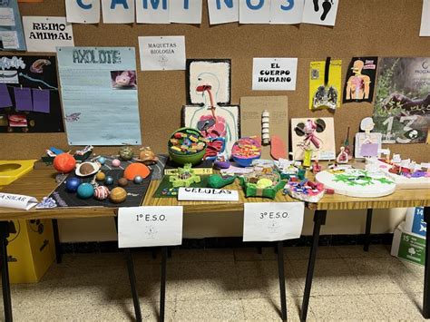 1ºeso 3ºeso Exposición De Maquetas Colegio El Buen Pastor Zaragoza