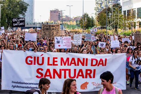 Gi Le Mani Dai Santuari Manifestazione A Roma Dopo L Uccisione Dei