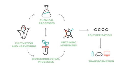 Biodegradable Plastic Packaging Solutions Gocircularplastics