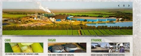 Royal Swaziland Sugar Seletcs Sap Hana Platform In 2021 Reviews