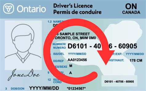 Renew A Drivers Licence Ontario Quickly Cheaply Smartphone ID