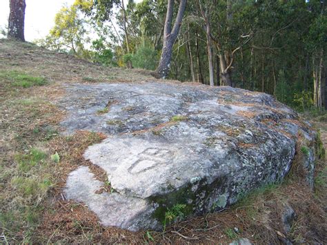 Completan O Desbroce Da Pista Do Pituco Ii E Case Arrasan Os