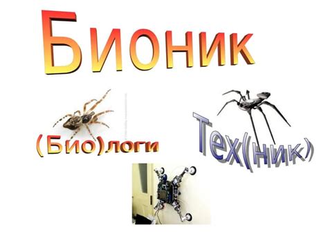 бионик | PPT