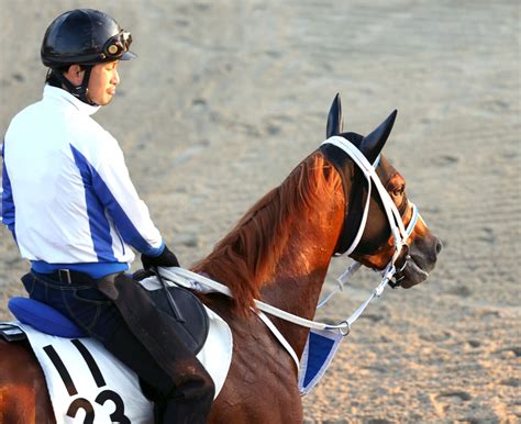 【注目馬動向】無傷の5連勝中のセラフィックコールがチャンピオンズc参戦 近日中に栗東へ帰厩 Umatoku 馬トク