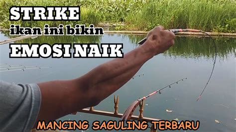 Strike Ikan Ini Bikin Emosi Naik Mancing Saguling Terbaru Youtube