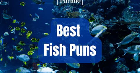 150 Fish Puns That Are Fin-tastic - Parade