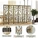 Amazon Babion 6 Panel Room Divider Folding Portable Partition