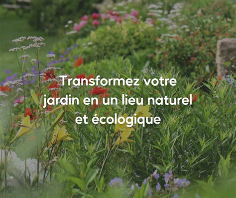 Transformez votre jardin en un lieu naturel et écologique