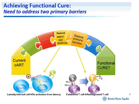 Dual approach to HIV-1 cure: Activation of latency and restoration of ... 