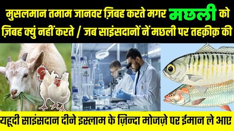 Allah Ki Qudrat Ka Karishma I Scientist Believed In The Living Miracle