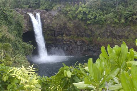 Hawaii Scenery: Rainbow Falls Waterfall Stock Photo - Image of falls ...