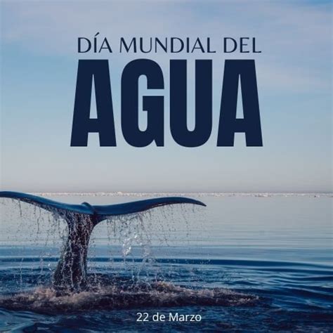 Día Mundial Del Agua 2023 Frases E Imágenes Para Reflexionar Este 22 De Marzo Unión Guanajuato