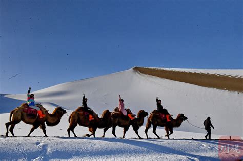 C视觉丨敦煌迎来初冬首场降雪 游人骑骆驼欣赏大漠雪景风光四川在线