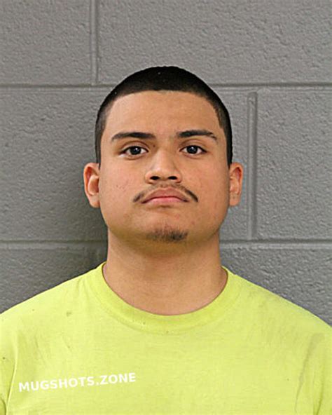 Fernando Gonzalez Chicago Mugshots Zone