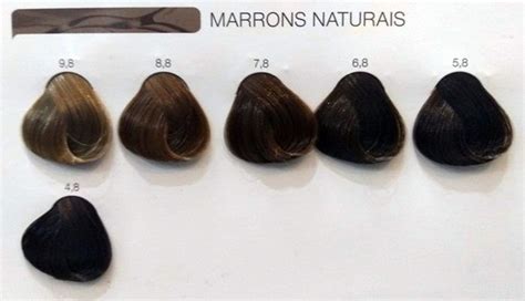 L Oréal Professionnel Inoa Coloração Marrons Naturais 9 8 Louro Muito