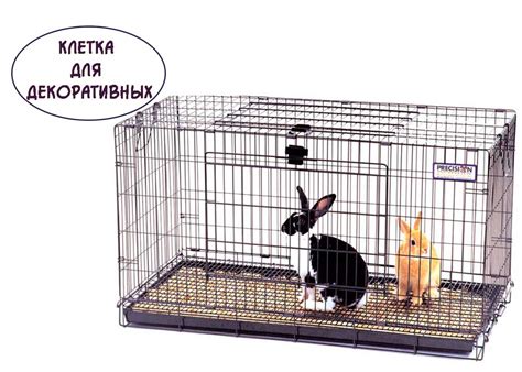 Клетка для декоративного кролика своими руками