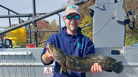 Nicole White Clm On Linkedin Njdep Fish And Wildlife Public Comment