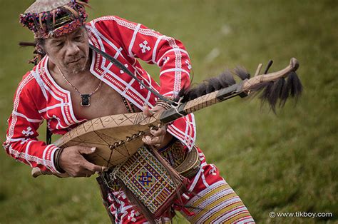 Instrumundo Instrumentos Musicales Kudyapi Kutyapi Kutiapi Kotyapi